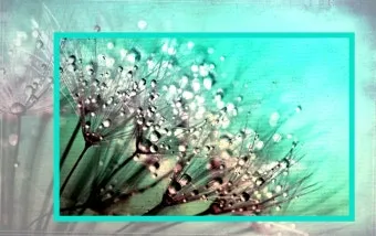 보관용기 선택 유리 스테인리스 플라스틱 냄새 이염 방지_12