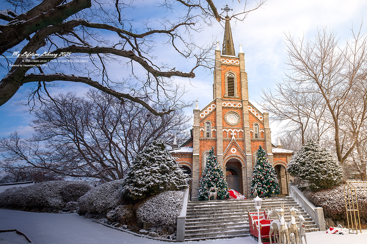 아산 공세리 공세리성당 가톨릭 천주교 성지 성당
