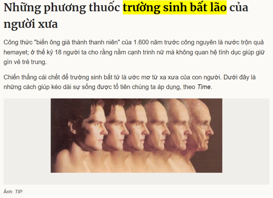 "쯔엉 신 벗 라오"를 인용한 기사 캡처