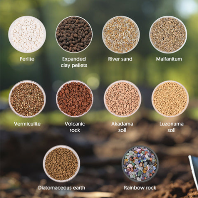 다육식물 분갈이 추천 배양토 종류