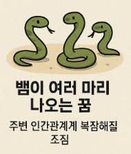 여러마리 뱀 꿈풀이