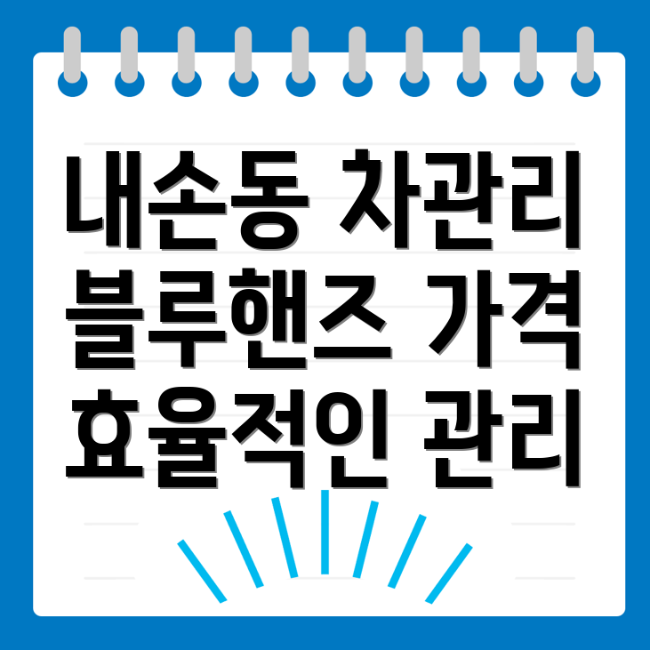 블루핸즈