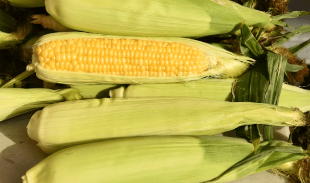 왜 지금 농산물 ETF인가? 인플레이션 시대&amp;#44; 뜨는 3가지 이유