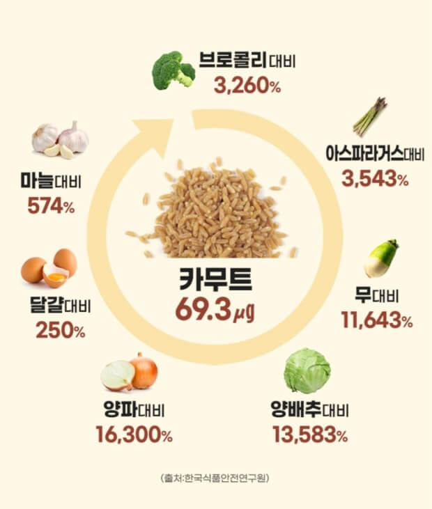 슈퍼 푸드로 알려진 &amp;#39;카무트&amp;#39; 효능 9가지와 부작용
