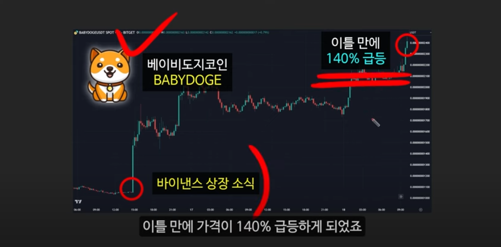 베이비 도지 코인의 급등 이유와 일론 머스크의 영향 ❘ 밈 코인 시장 전망