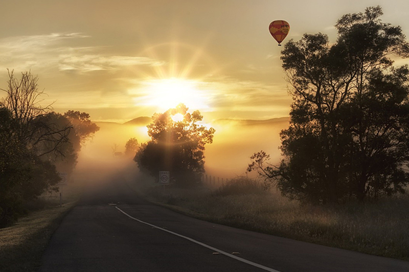 당뇨병과 치매의 연관성