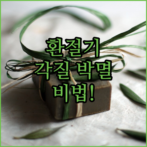 환절기 얼굴 각질 고민 해결을 위한 ..