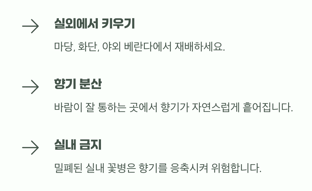 안전 거리를 지키는 지혜