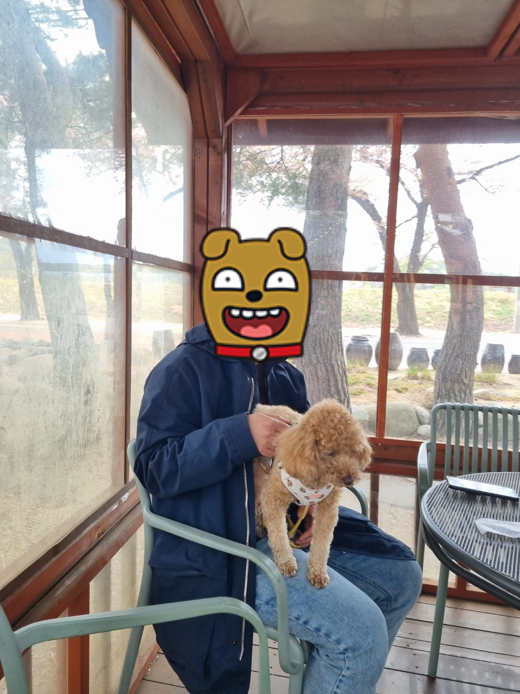 텐트-실내모습 - 반려견-동반-가능