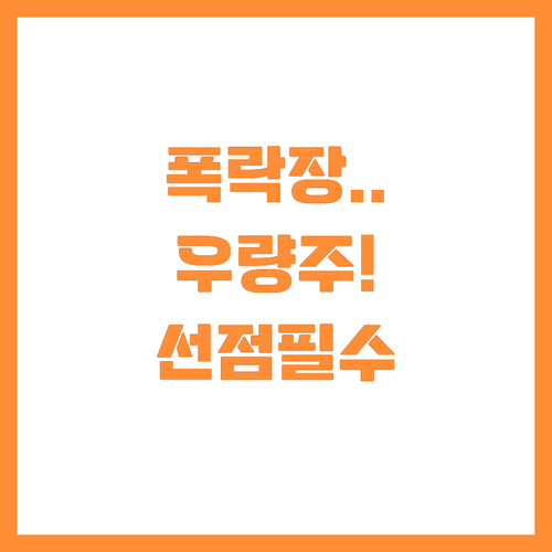 하락장에서 빛나는 펀더멘털 우량주 선..