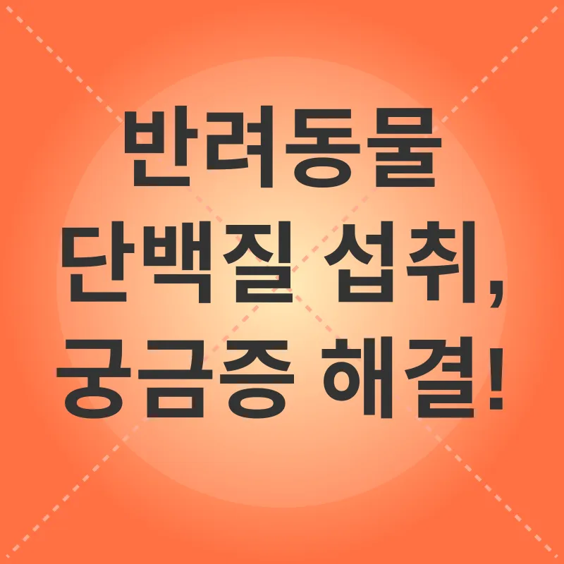 반려동물 단백질 섭취_4