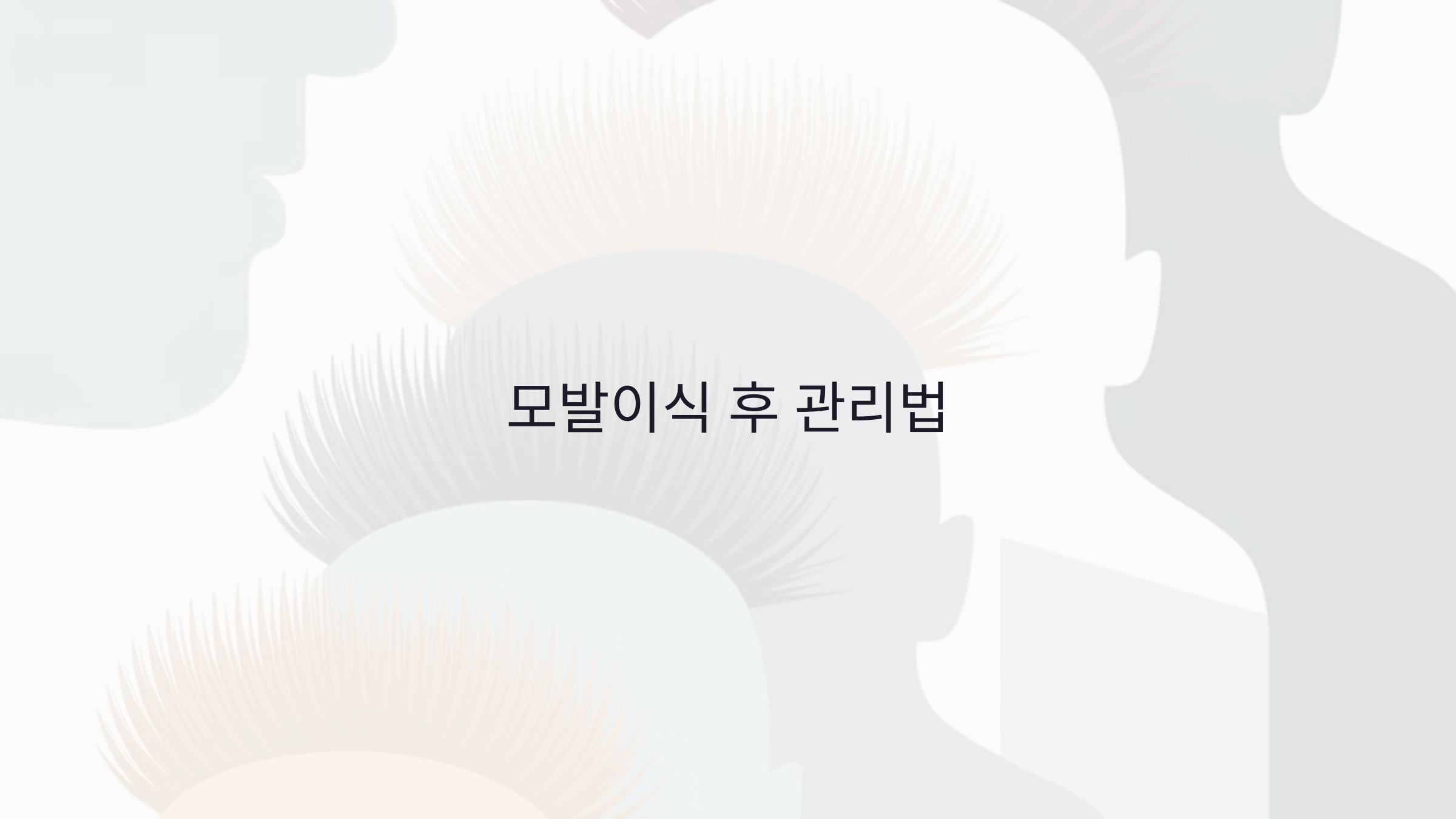 모발이식