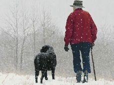 기초생활수급자 혜택