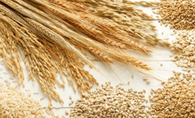 콜레스테롤 낮추는 음식