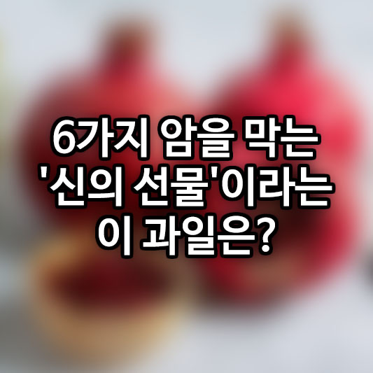 6가지 암을 막는 '신의 선물'이라는 이과일은?