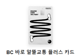 카드사별 알뜰교통카드들