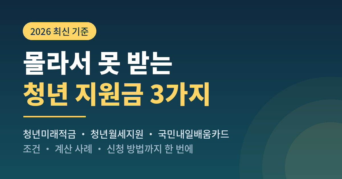 청년 지원금