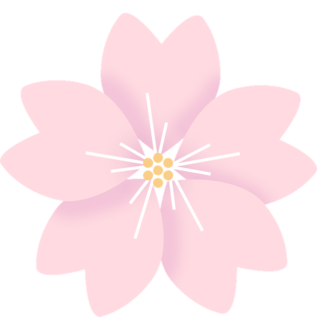 벚꽃 라인