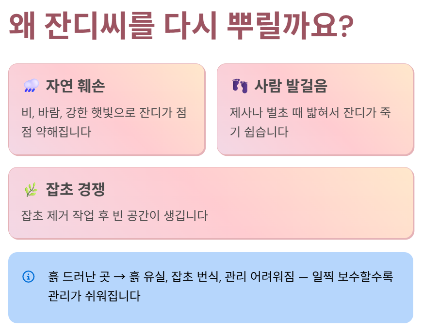 자연 훼손