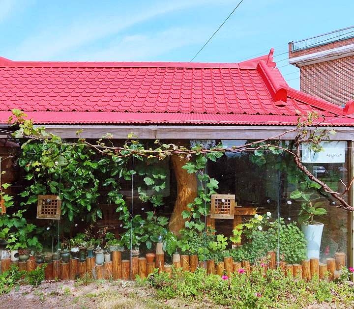 생방송오늘저녁 옛날 돈가스 고조할아버지 한옥 개조 불멍 카페 경양식 돈까스 경주 맛집 추천