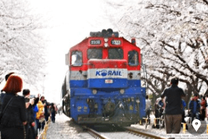 추석 기차표 취소표