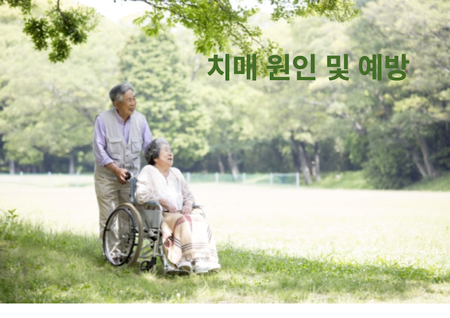 치매