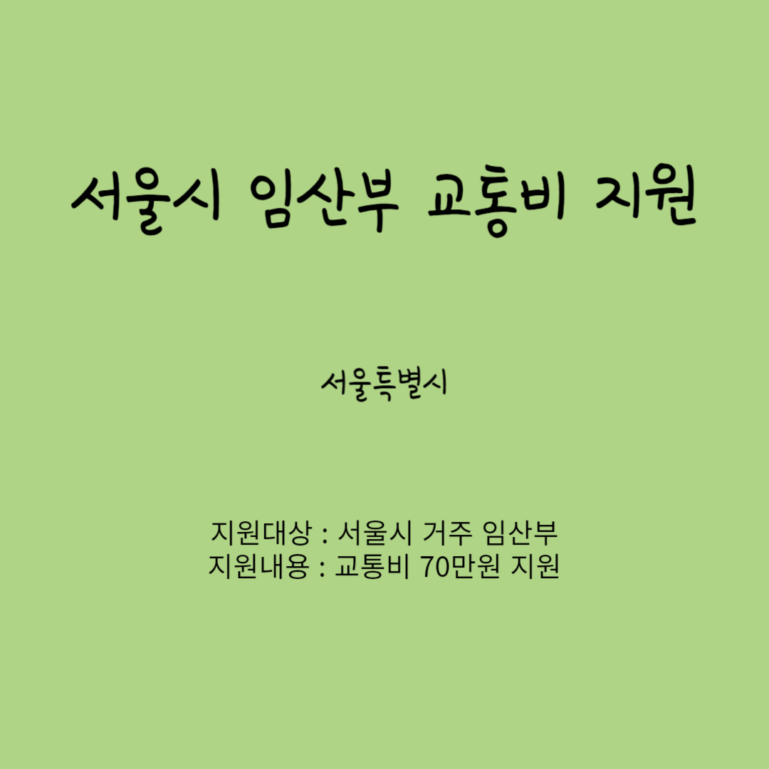 서울시 임산부 교통비 지원사업