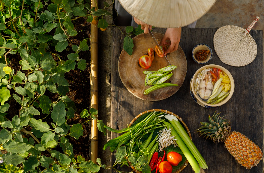 면역력을 높이는 음식 10가지