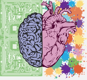 포스파티딜 세린 효능