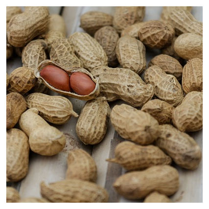 위고비 주의사항3