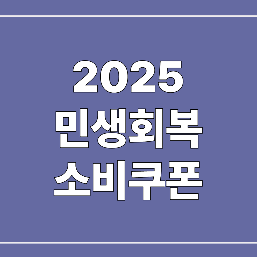 2025 민생회복 소비쿠폰