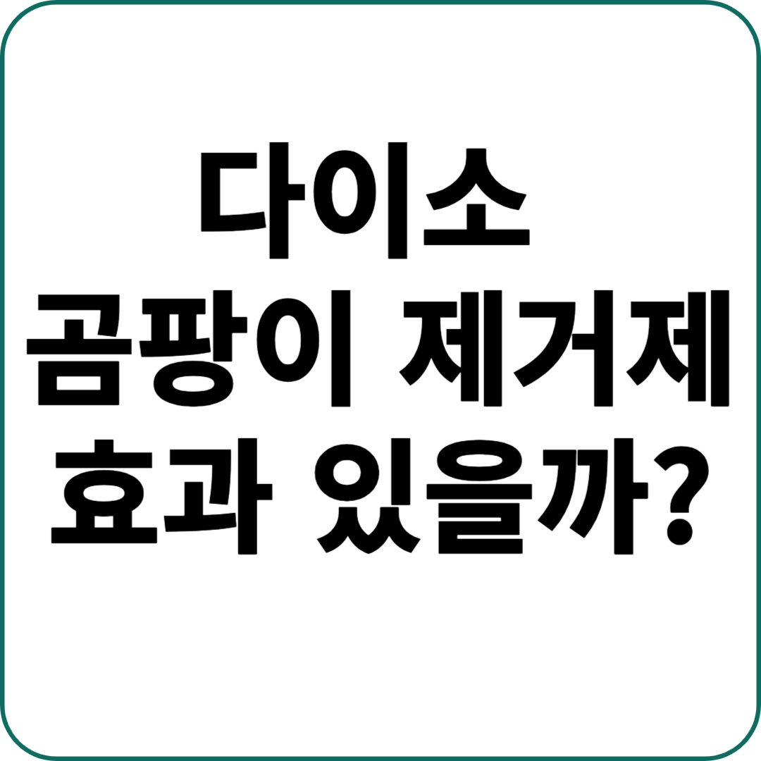 다이소 벽지곰팡이제거제