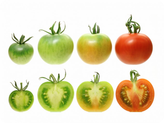 갑상선-기능-저하증-증상