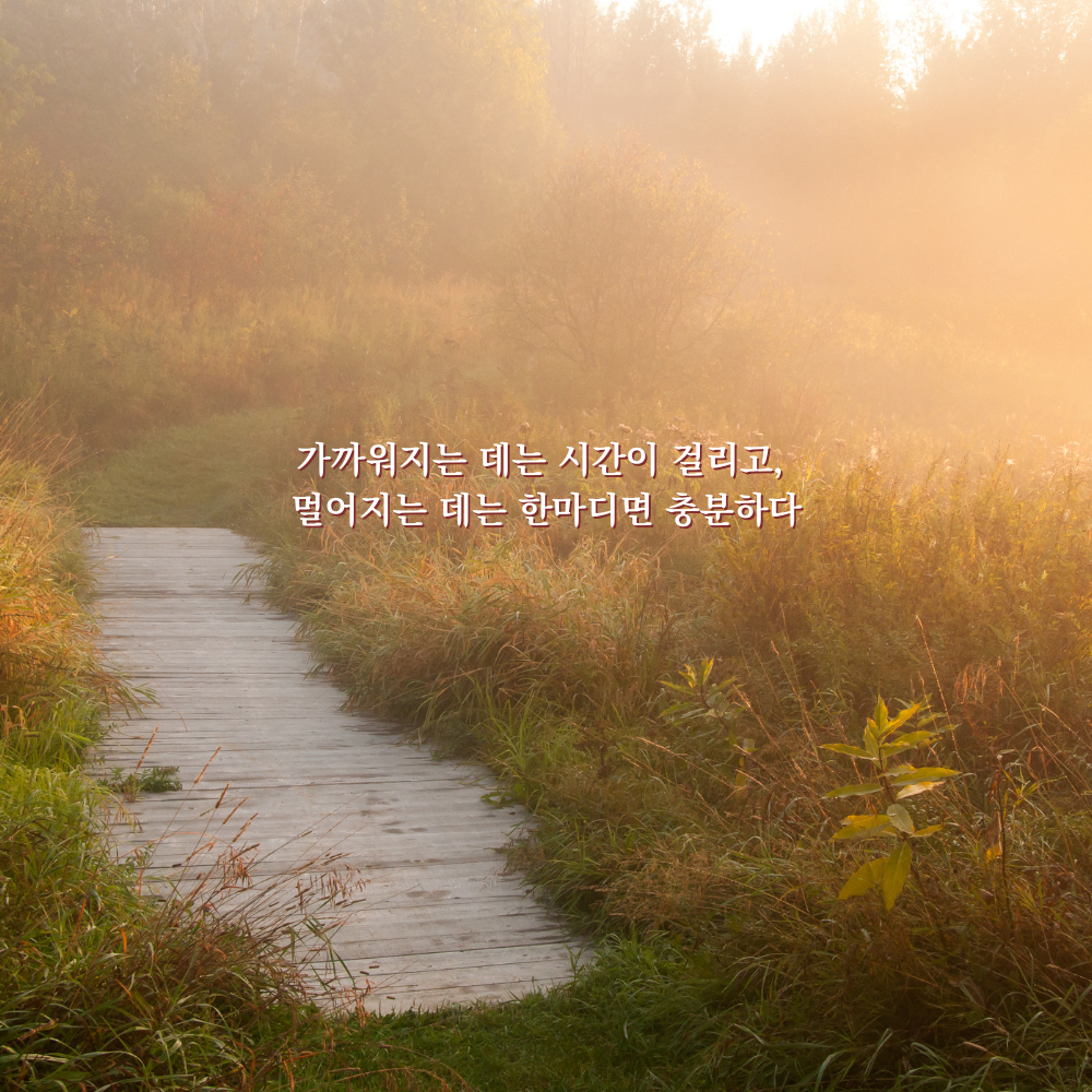 가까워지는 데는 시간이 걸리고, 멀어지는 데는 한마디면 충분하다. - 감성 글귀 이미지