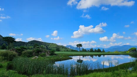 골프장 경험담 가평 베네스트cc 골프 삼성에서 운영하는 명문 골프장