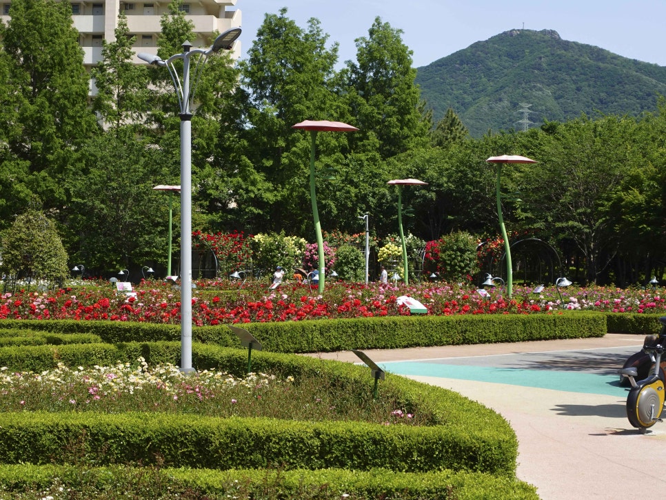 부산 정관 윗골공원