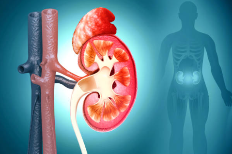 만성 신우신염의 원인과 증상, 진단, 치료와 예방 방법, 합병증
