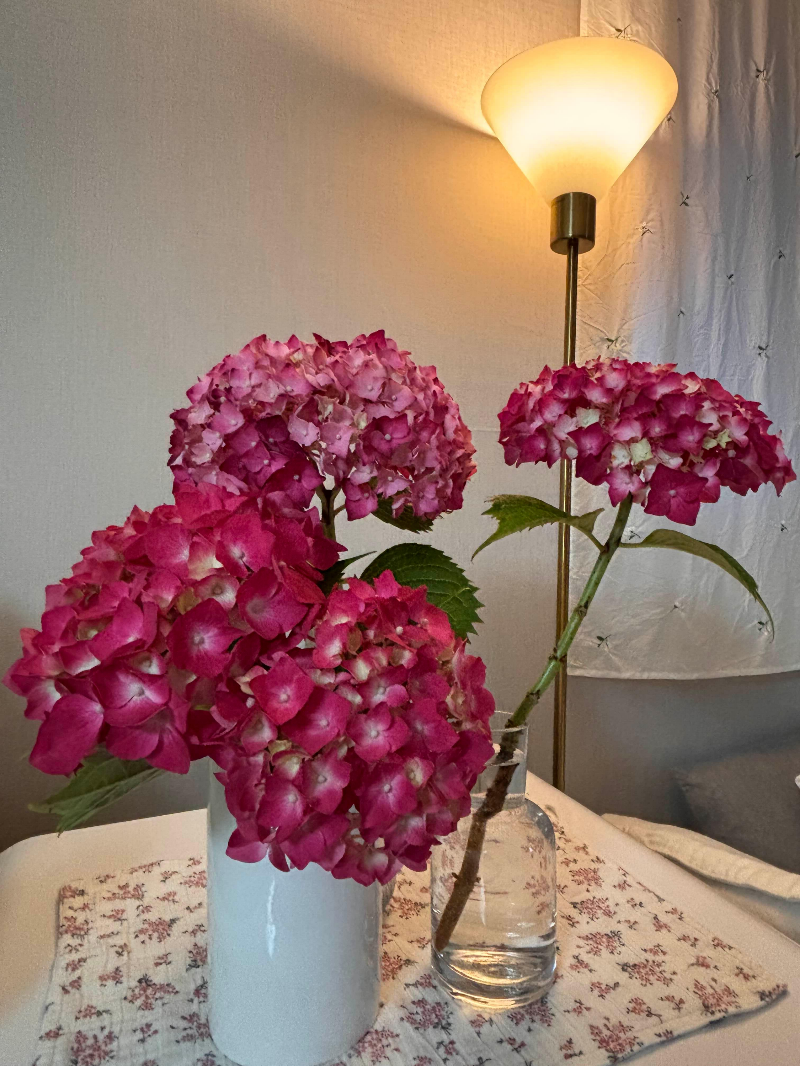 μ€λ΄ ν
μ΄λΈ μ μ 리λ³μ λ΄κΈ΄ μκ΅
A clear vase with hydrangeas on an indoor table