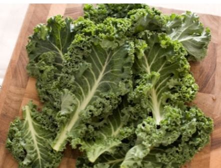 콜라겐 많은 음식