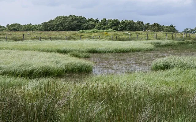 디아블로2 신오브 망울 스월링 크리스탈레저렉션 신오브 사용처_8