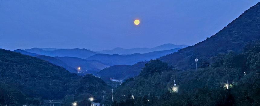 특색있고 아름다운 민간 정원 30선 추천 여행 - 21. 보성 성림정원