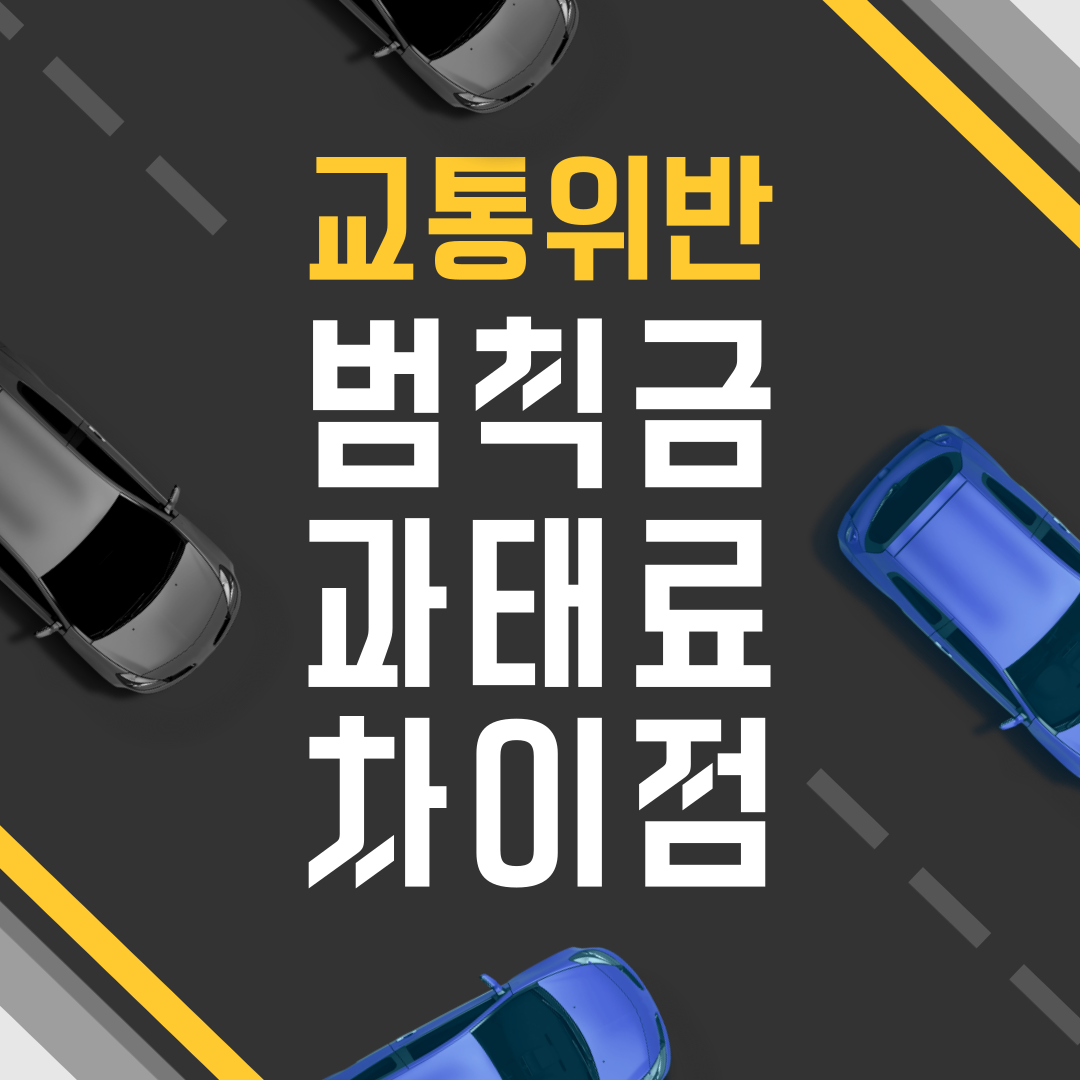 교통위반 범칙금 과태료 차이 조회 방법!