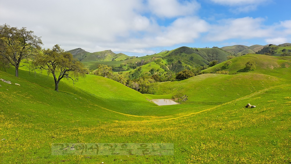 Sunol Regional Wilderness
