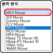 출력 형식
MKV Muxer
AVI Muxer
Dummy Muxer
FLV Muxer
MKV Muxer
MOV Muxer
MP4 Muxer
Mpeg TS Muxer (ff)
Mpeg-PS Muxer( ff)
Video Only
WebM Muxer
