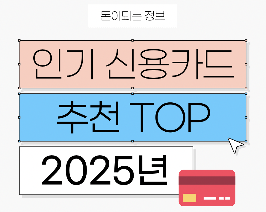 사회초년생 인기 신용카드 추천 TOP5 - 혜택,연회비,선택 팁까지