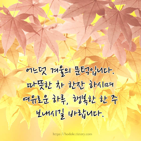 십일월마지막주