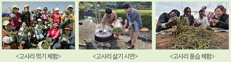 2025 제29회 한라산 청정 고사리 축제