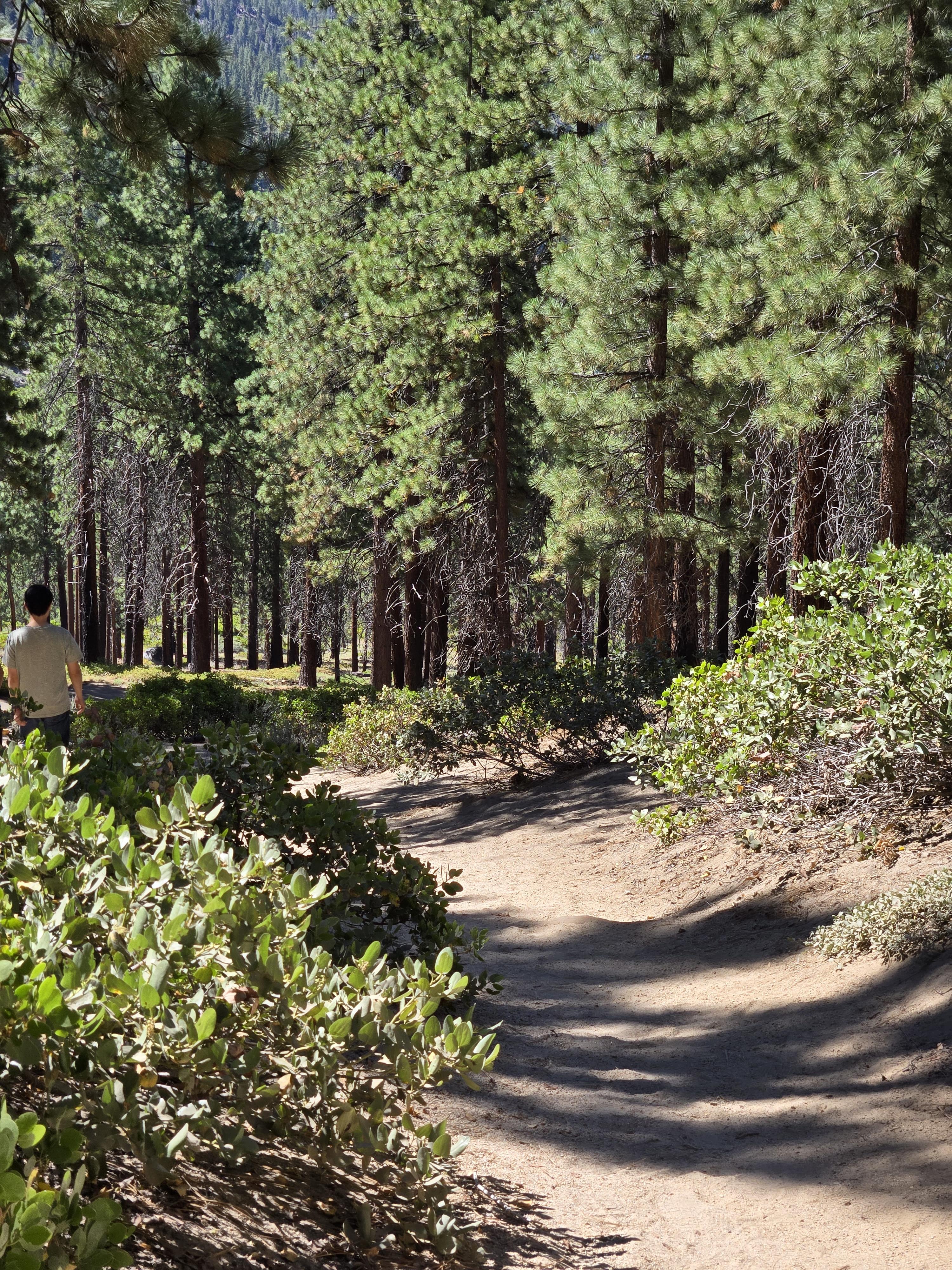 🌲 가족과 함께 떠난 타호레이크 1박 2일 여행기 2&amp;#44; 둘째날 (Family Trip to Lake Tahoe) 관련사진