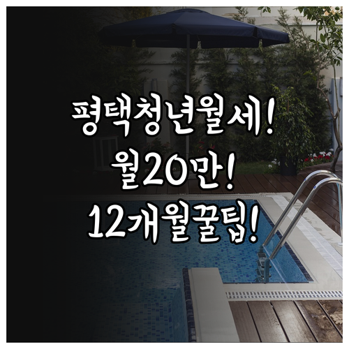 2026 평택시 청년월세지원 월 20..