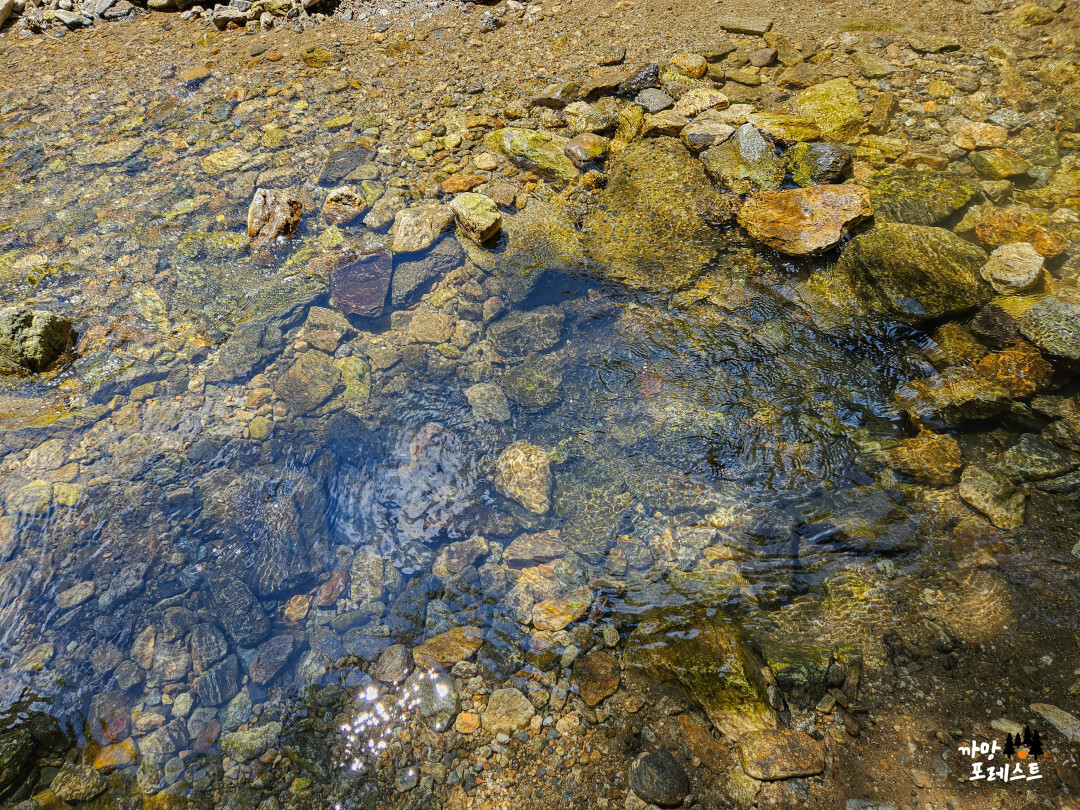 용인 고기리 계곡 물상태